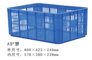 A9#午夜免费网站周转箩