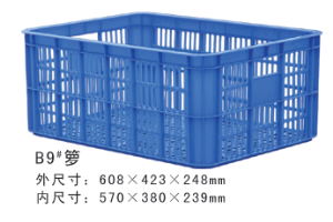 B9#午夜免费网站周转箩